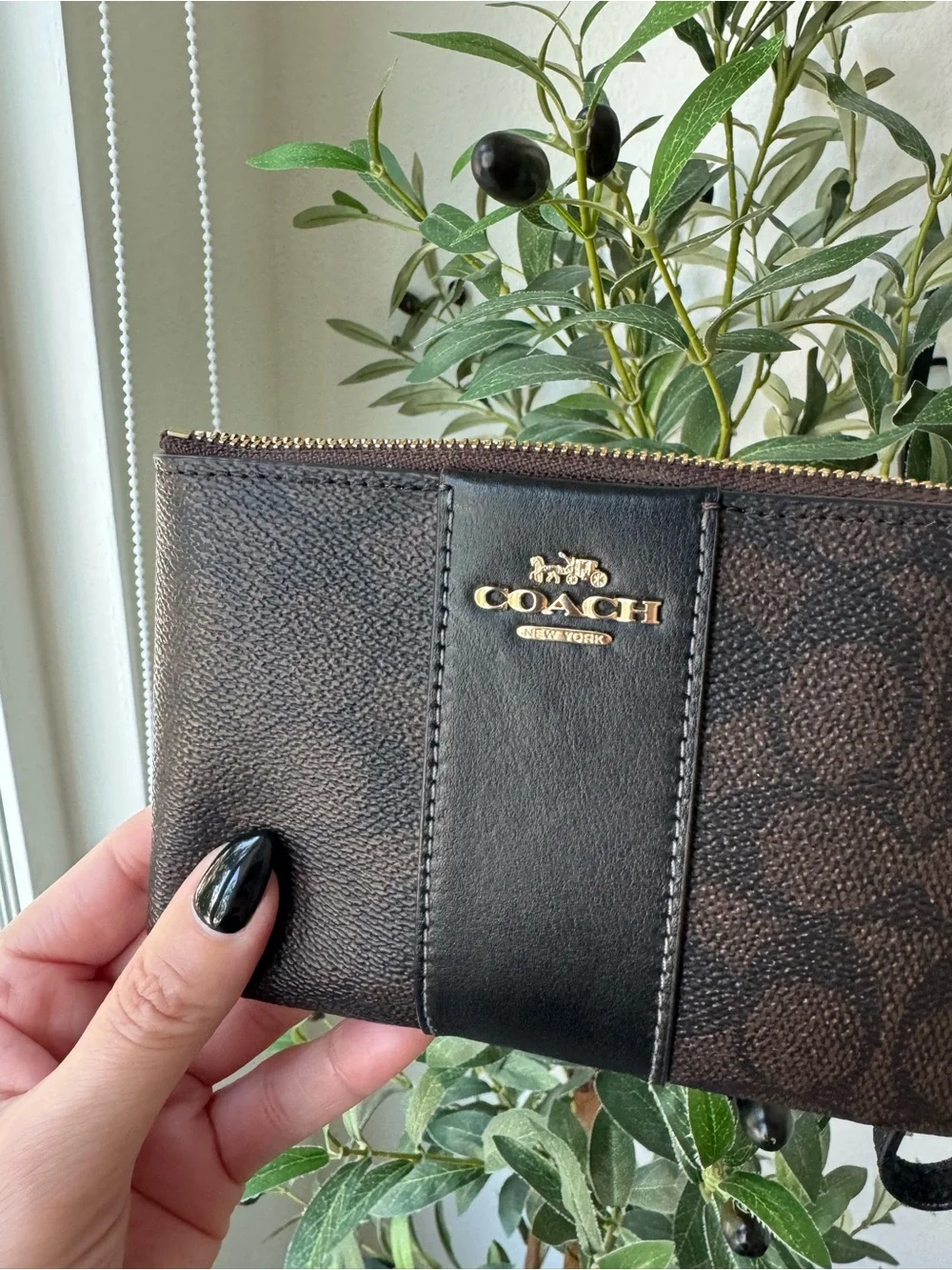 Coach Walnut & Black Corner Zip Wristlet In Signature Canvas With Stripe